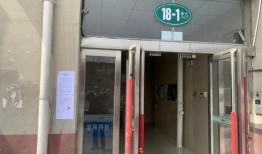 爆料卖惨夫妇视频大全播放,揭秘网络爆红背后的心酸故事