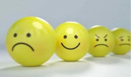 娱乐吃瓜酱情绪价值,揭秘娱乐圈情绪价值背后的秘密